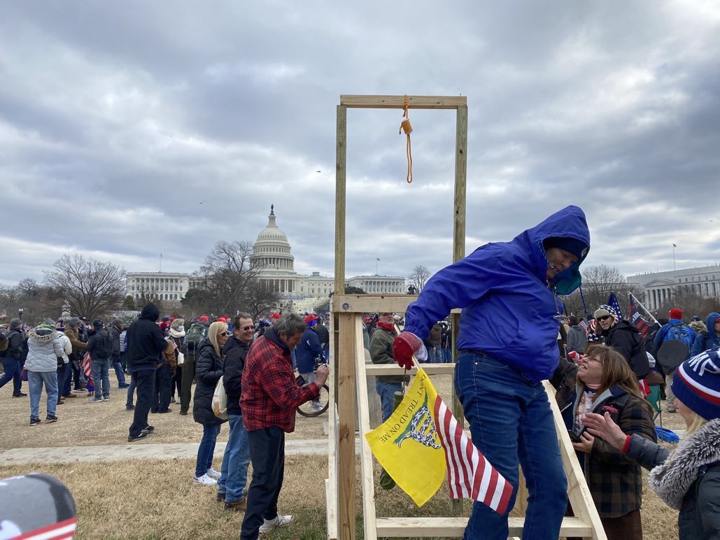 Trump Supporters Position Guillotine In Front Of Capitol Building ...