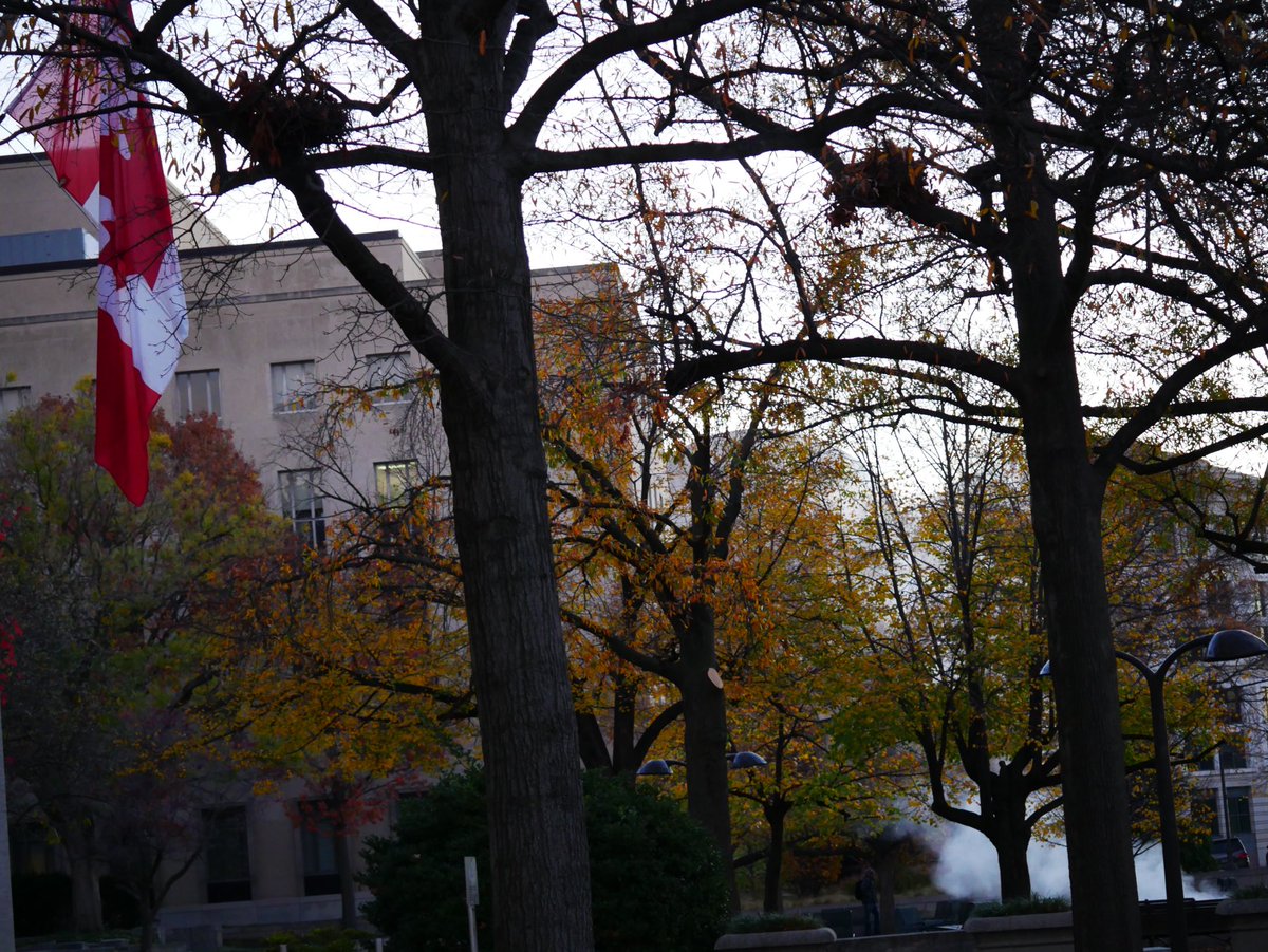 DC Fire & EMS responded to the building in which the Canadian Embassy to the United States is located (500 block of Pennsylvania Ave NW) for an electrical fire in a utility closet this morning. The fire was quickly extinguished; investigators on scene now