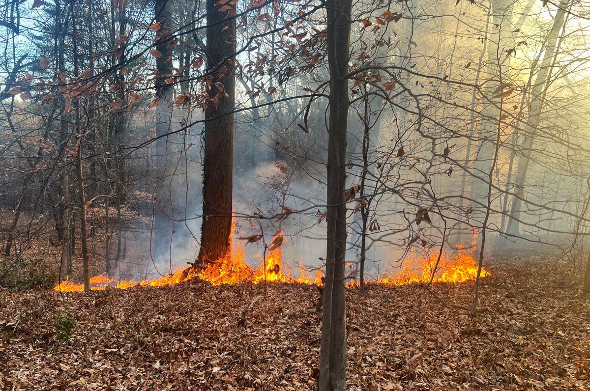 To establish a perimeter around the fire. In steep terrain. Approx dozen units operating. No injuries. Please avoid area around Beach Drive and Park Rd NW. DC firefighters