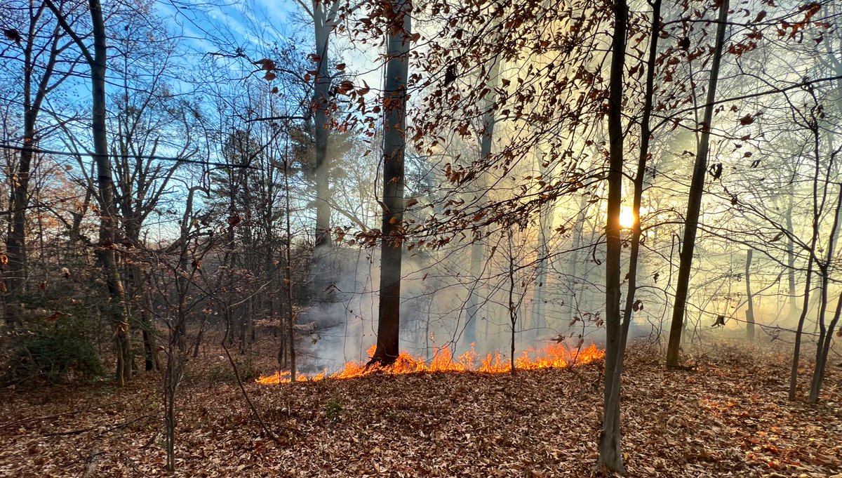 To establish a perimeter around the fire. In steep terrain. Approx dozen units operating. No injuries. Please avoid area around Beach Drive and Park Rd NW. DC firefighters