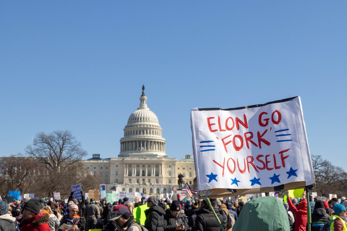 Around 3,000 people gathered at the US Capitol Reflecting Pool in DC on Monday to protest the deep cuts President Trump and Elon Musk are making to the federal government