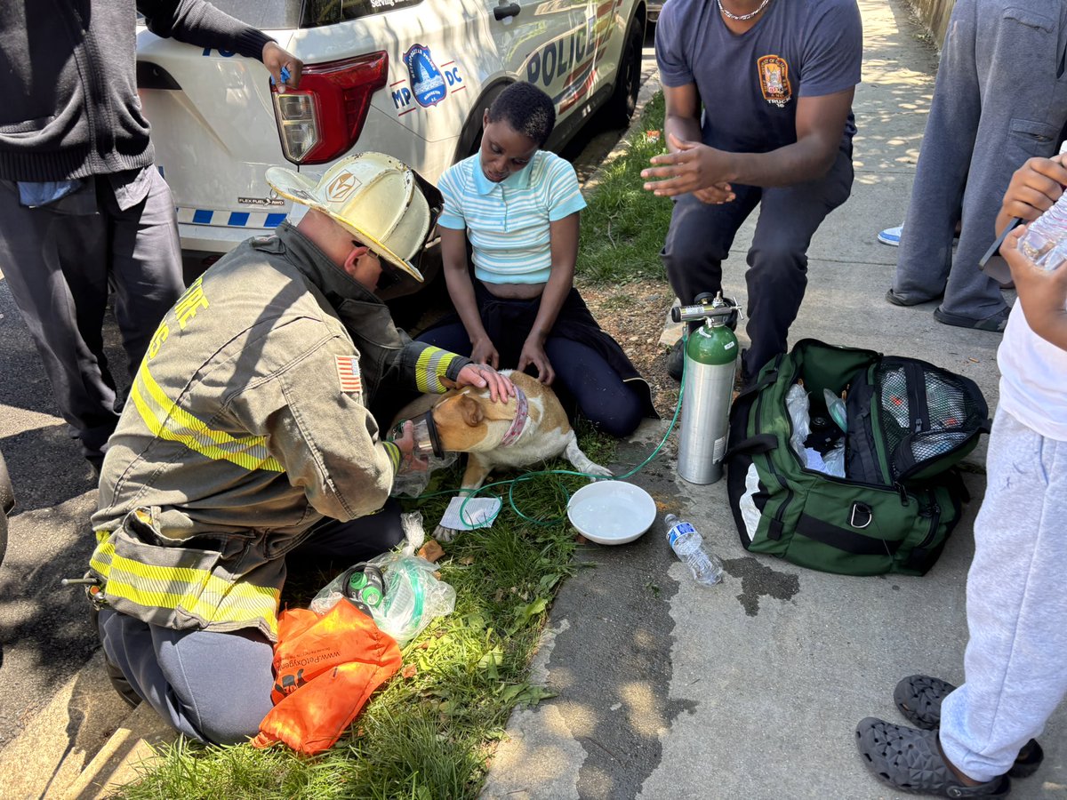 Fire 1600 Blk. W St. SE. Smoke showing from 2 story detached home on 1st floor W/ extension to 2nd floor upon arrival. 1 dog rescued. No injuries. 7 adults & 3 children and dog displaced.