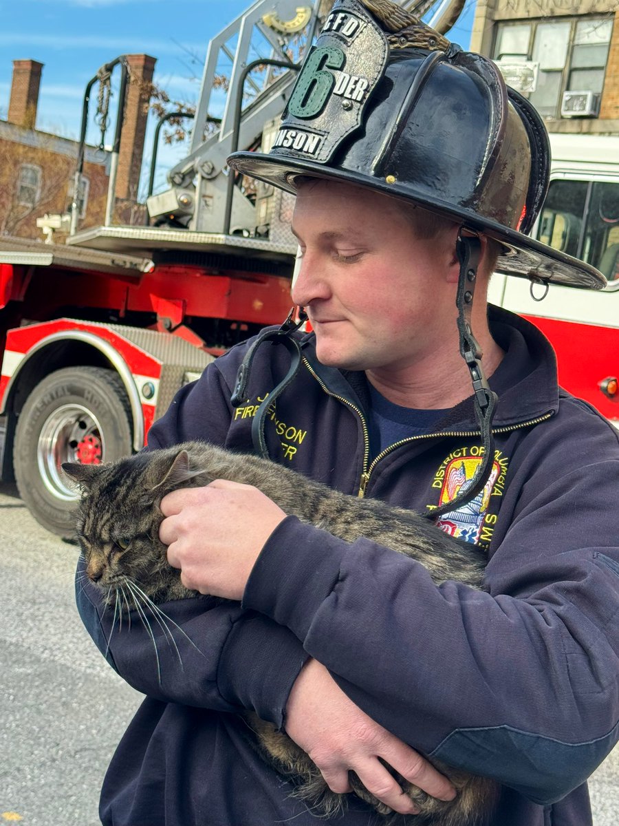 Fire 700 block 12th St SE. Fire 2nd floor apt. 6 story occupied building. Fire knocked down. 1 cat rescued by firefighters treated by EMS. No reported injuries. DC firefighters