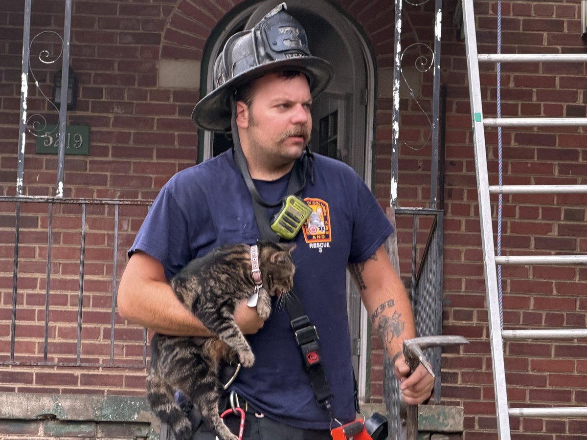 Working Fire - 5200 Block of East Capitol Street SE Aggressive interior attack led to quick extinguishment of fire. Fire contained to rear of home with no exposure to adjacent properties. Two cats rescued from home. One adult and two cats displaced